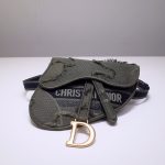 Dior Saddle Belt bag