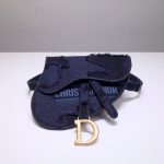 Dior Saddle Belt bag