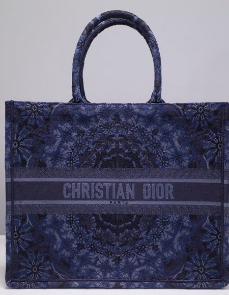 DIOR BOOK TOTE BAG