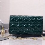 Dior WOC