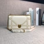 DIOR AMA