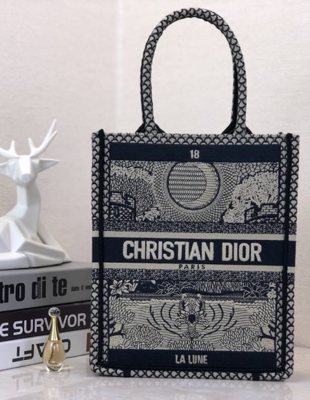 DIOR BOOK TOTE