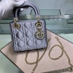 LADY DIOR