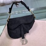 Dior Saddle