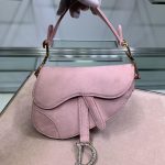Dior Saddle