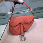 Dior Saddle
