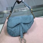 Dior Saddle