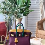 Hermes Birkin 25