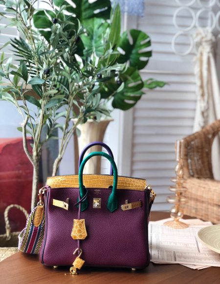 Hermes Birkin 25
