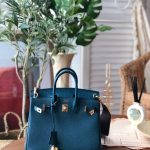 Hermes Birkin 25