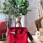 Hermes Birkin 25