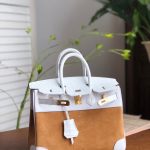 Hermes Birkin 25