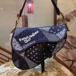 Dior Saddle