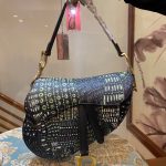 Dior Saddle