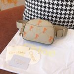 Chloe Belt Bag
