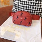 Chloe Belt Bag