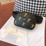 Chloe Belt Bag