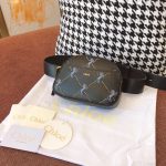 Chloe Belt Bag