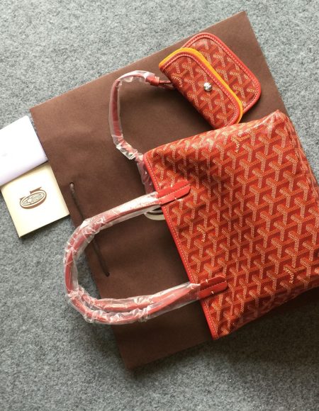 Goyard Saint Louis mini Tote Bag
