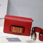 Dior Evolution Bag