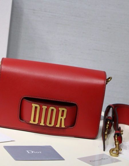 Dior Evolution Bag