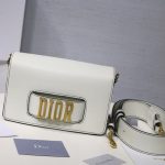 Dior Evolution Bag
