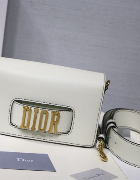 Dior Evolution Bag