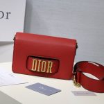 Dior Evolution Bag