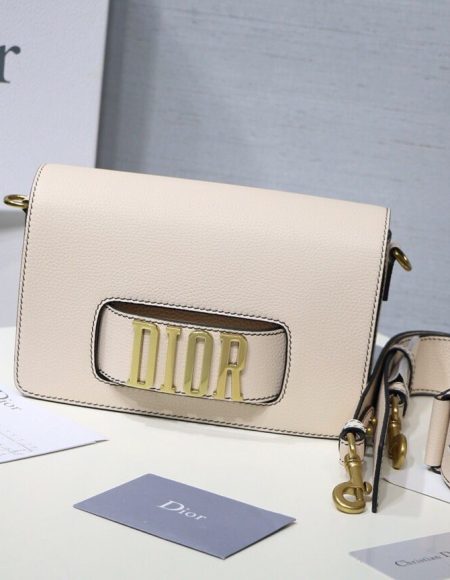Dior Evolution Bag