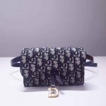 Dior Saddle Belt Bag