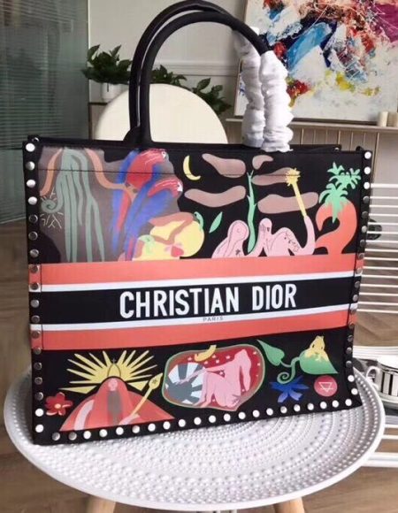 Dior Book Tote  Bag
