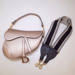 Dior saddle