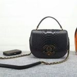 Chanel 2017 Original Python Leather Shoulder Bag 8125 Black
