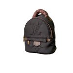 Louis Vuitton LV PALM SPRINGS MINI Brown M21060
