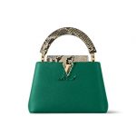 Louis Vuitton LV CAPUCINES MINI Emeraude Green N80931