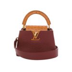 Louis Vuitton LV CAPUCINES MINI Griotte Red/Honey N81409