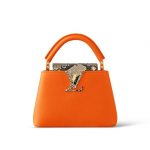 Louis Vuitton LV CAPUCINES MINI Topaze Imperiale Orange N81210