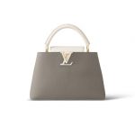 Louis Vuitton LV CAPUCINES MM Steeple Gray/Greige M21296