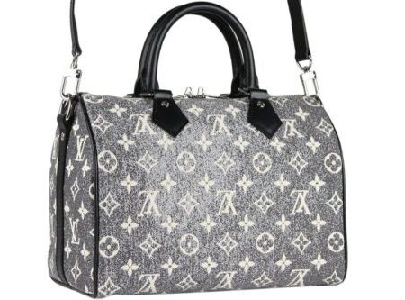 Louis Vuitton LV SPEEDY BANDOULIÈRE 25 Gray M21464