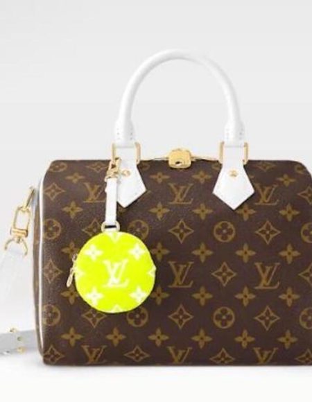 Louis Vuitton LV SPEEDY BANDOULIÈRE 25 Brown M20754