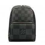 Louis Vuitton LV CAMPUS BACKPACK GRAY N50009